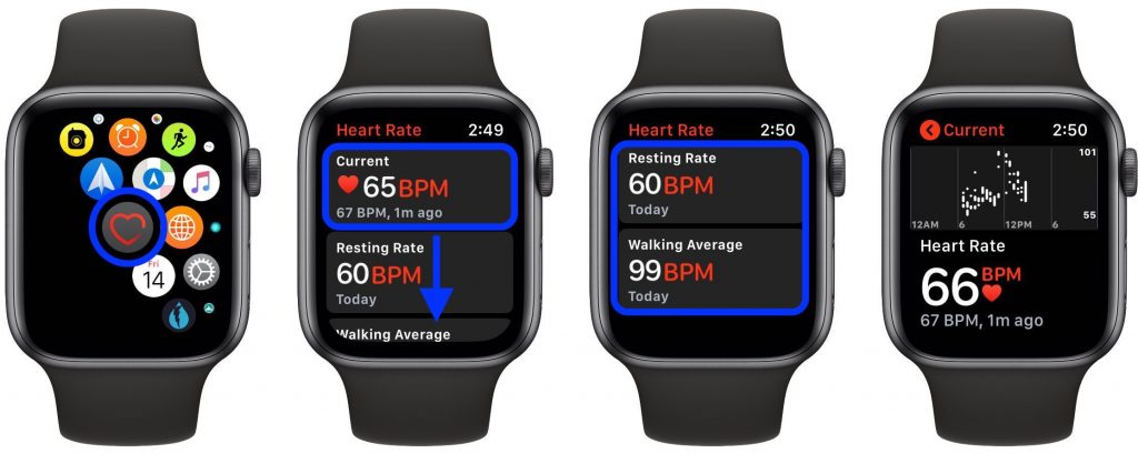 Apple Watch 4 Heart Rate